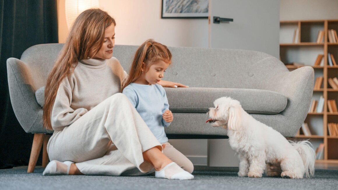 A Good Irreplaceable Relationship — Kids as Well as Domestic Pets